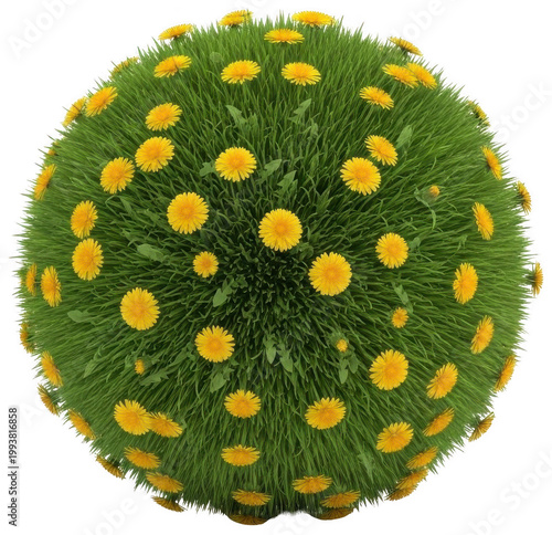 green grass globe png yellow dandelion sphere cutout spring meadow orb png natural flower ball cutout vibrant green planet png fresh floral circle cutout isolated transparent background image