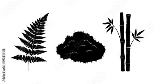 Botanical silhouettes of fern, moss, and bamboo create a natural, organic design element