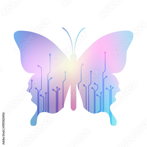 Colorful Butterfly, Isolated on white background