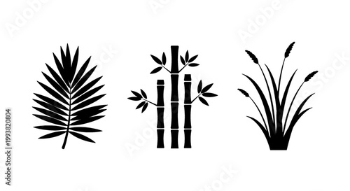 Simple black silhouettes of tropical plants and reeds on a white background.