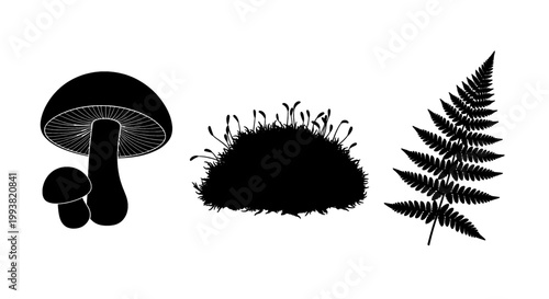Silhouettes of forest elements: mushroom, moss and fern, isolated on white background