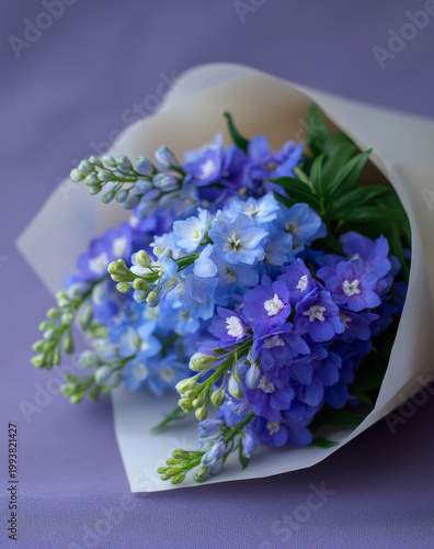 Delicate bouquet of blue delphinium flowers wrapped in soft paper on a purple background