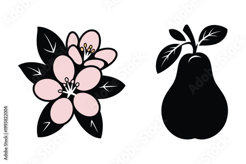 Pink apple blossoms and pear silhouette vector with silhouette, illustration