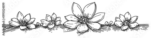 Obraz na plátně Lotus flowers blooming in a row as decorative border in hand drawn sketch style