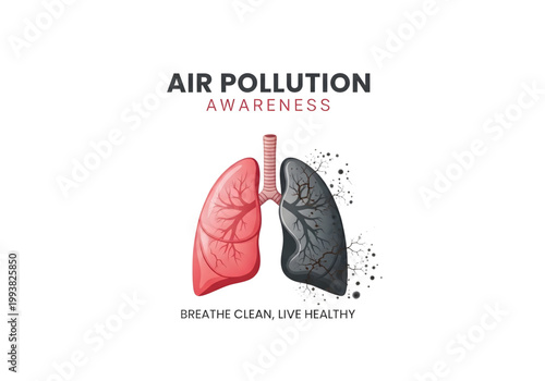 healthy vs diseased lungs for air pollution awareness png on transparent background