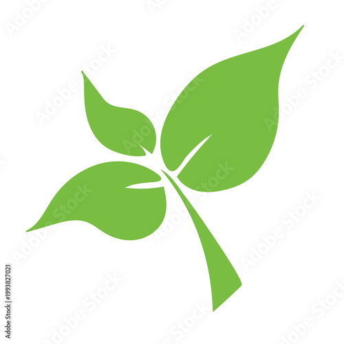 Photos Green tea, 2D flat Eco green plant
