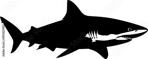 Black silhouette shark swimming on flat vector isolated on white background

