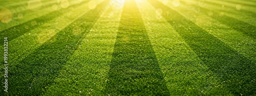 A beautiful, freshly cut professional soccer field with vibrant alternating light and dark green stripes, creating a crisp, geometric pattern perfect for sports, competition, and outdoor backgrounds