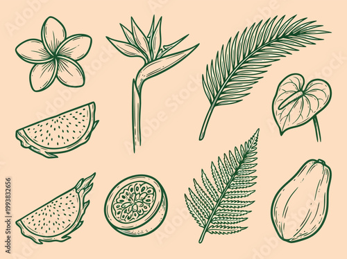 Tropical Plant and Fruit Sketch Collection on Beige Background.
