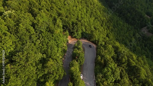 Winding road curves through lush green forest under bright sunlight, inviting exploration and adventure along tranquil pathways