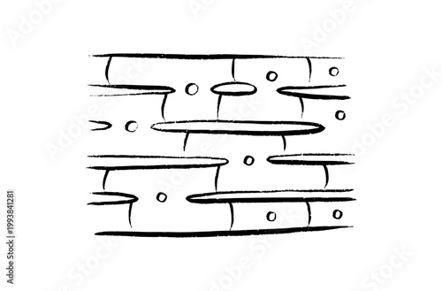 Cells structure sketch