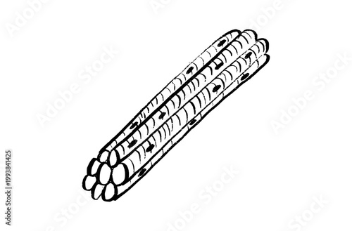 Cells structure sketch