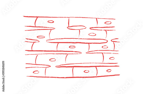 Cells structure sketch