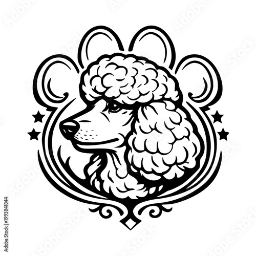 Cabeza de perro caniche con corte elegante y