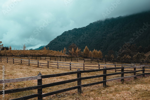 campo en la montaña 