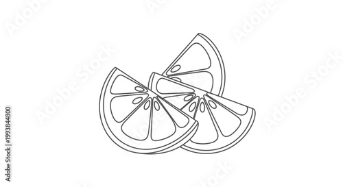 Sliced Orange Fruit Line Art Illustration.