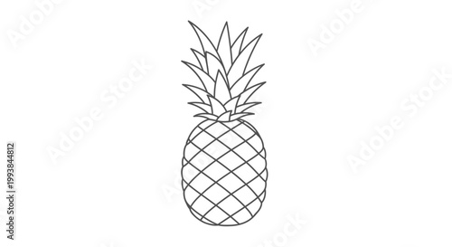 Pineapple Fruit Illustration Outline Simple Design.