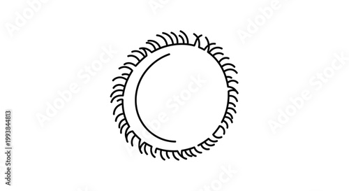 Eyelashes surrounding a circular empty space.