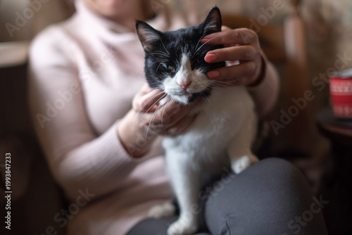 Obraz na plátně A woman with light brown hair holds a black and white domestic cat