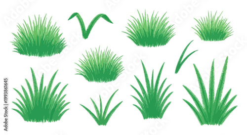 green grass illustration vector pack featuring fresh organic tufts and plant elements perfect for natural design projects