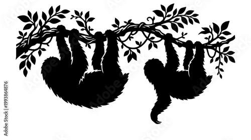 Sloths hang from a leafy branch against a plain studio background. Bold black silhouettes create a high contrast graphic and calm mood.
