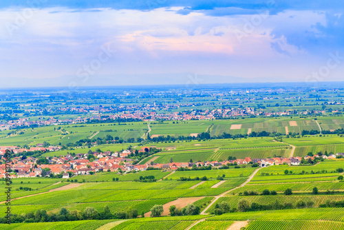 Photography Vineyards surround a small town in the valley under a blue sky with clouds in th