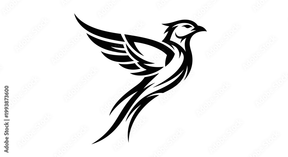 Fototapeta premium Black and white bird flying right.