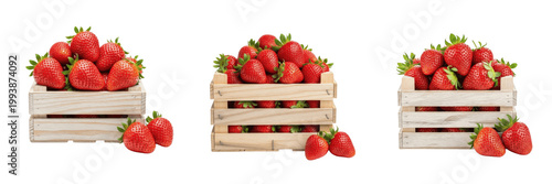Quadro su tela Set of Wooden Crate of Fresh Red Strawberries with Isolated on White Background,