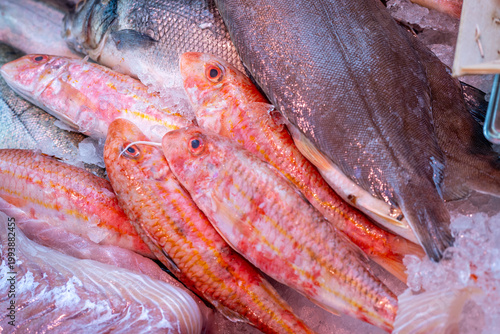 Foto Fresh fish displayed on ice in a market with various types including red mullet