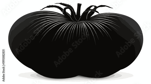 Black tomato illustration isolated on white background for culinary or design