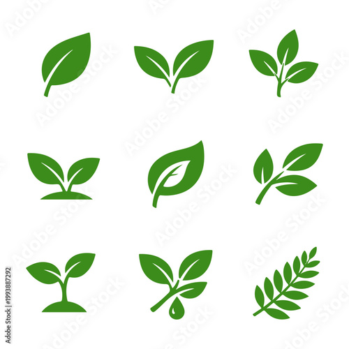 Leaves icon set
vector isolated set