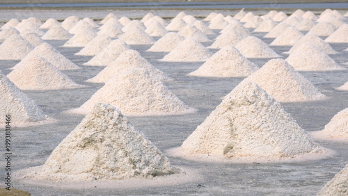 Bild auf Leinwand Traditional sea salt piles in a salt farm under the sun, salt evaporation pond landscape in Samut Sakhon, Thailand