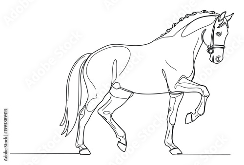 Elegant continuous line drawing of a dressage horse performing a classic movement suitable for equestrian branding and sports promotion
