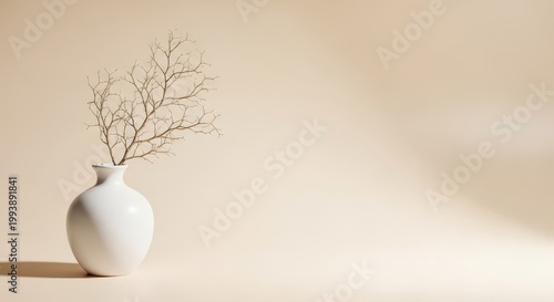 A single white ceramic vase holding a delicate dried branch sits against a seamless beige background in soft, diffused natural daylight, beige, botanical, symmetry