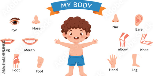 My body anatomy vector chart for kids featuring boy mascot with labeled icons for eye nose ear mouth hand leg and joints in flat style