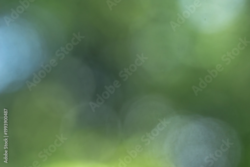 abstract green background with bokeh