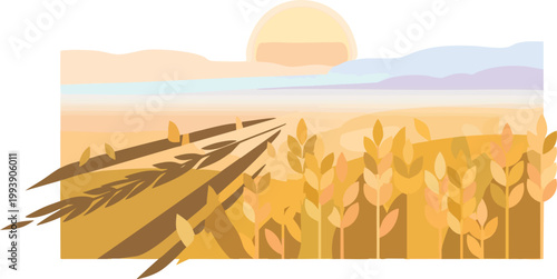 Grass Texture in the Sunlit Field for Natural Backgrounds and Design