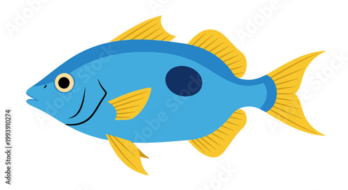 Vibrant Blue Fish with Yellow Fins and Dark Spot - Isolated