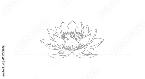 Detailed Line Drawing of Lotus Flower.