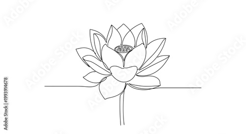 Bilde på lerret Detailed Drawing of a Lotus Flower.
