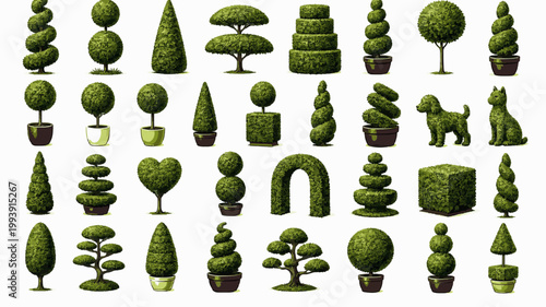 Evergreen Conifers Pack. Pine and Fir Landscape Trees