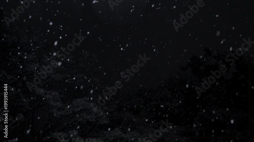 Snow falling in the night forest. Slow motion.