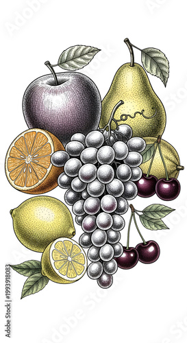 Assorted Fruit Illustration...