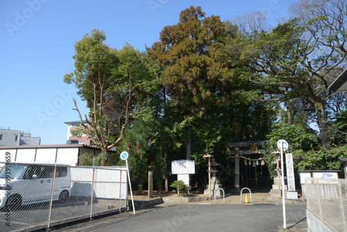 Quadro su tela 天穂日命神社　石田の杜と境内入口　京都市伏見区石田森西町