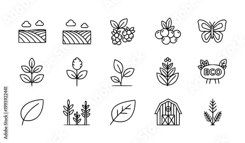 Natural eco icon collection vector geometric outline farm organic design