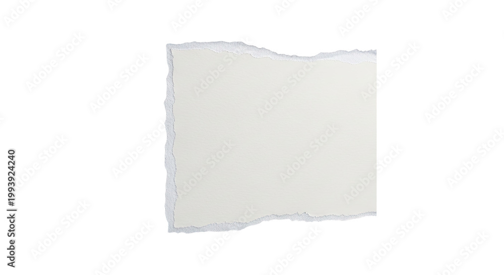 Fototapeta premium Torn Paper Edge with Textured Surface