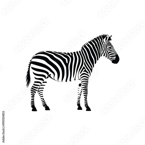 A striking black and white illustration of a zebra in profile