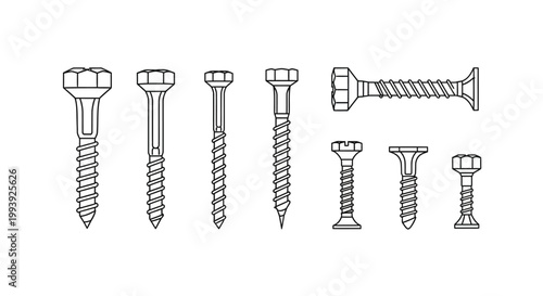 A group of assorted metal screws.
