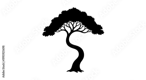 Black silhouette of a tree standing.
