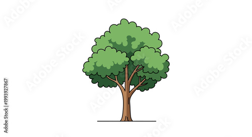 A large green tree with branches.